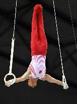 (SP)QATAR-DOHA-FIG-GYMNASTICS-WORLD CUP-MEN'S RINGS