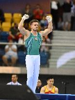 (SP)QATAR-DOHA-FIG-GYMNASTICS-WORLD CUP-MEN'S RINGS