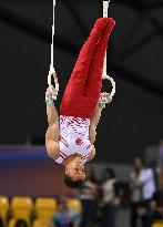 (SP)QATAR-DOHA-FIG-GYMNASTICS-WORLD CUP-MEN'S RINGS