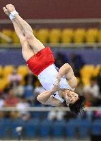 (SP)QATAR-DOHA-FIG-GYMNASTICS-WORLD CUP-MEN'S FLOOR