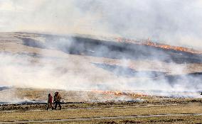Controlled grassland burning at Mt. Aso