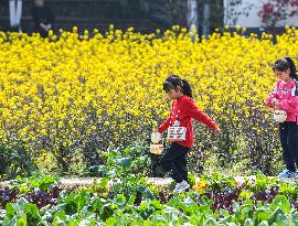 CHINA-SICHUAN-COLE FLOWERS-TOURISM (CN)