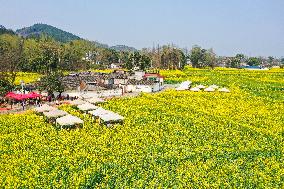 CHINA-SICHUAN-COLE FLOWERS-TOURISM (CN)