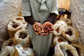 EGYPT-GIZA-DATE FESTIVAL