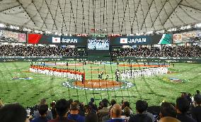 World Baseball Classic