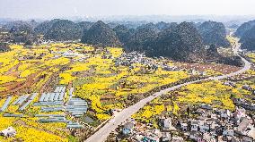 CHINA-GUIZHOU-LIUPANSHUI-COLE FLOWERS-SCENERY (CN)