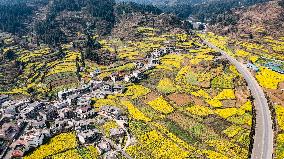 CHINA-GUIZHOU-LIUPANSHUI-COLE FLOWERS-SCENERY (CN)