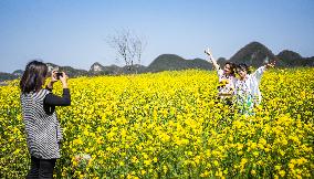 CHINA-GUIZHOU-LIUPANSHUI-COLE FLOWERS-SCENERY (CN)