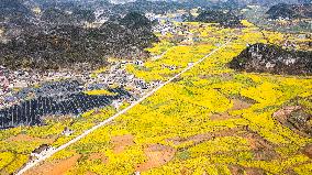 CHINA-GUIZHOU-LIUPANSHUI-COLE FLOWERS-SCENERY (CN)