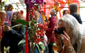 CZECH REPUBLIC-PRAGUE-ORCHID-EXHIBITION