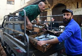 SYRIA-BANIYAS-FISH MARKET