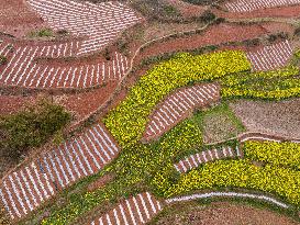 CHINA-SICHUAN-RONGXIAN-SCENERY (CN)