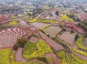 CHINA-SICHUAN-RONGXIAN-SCENERY (CN)