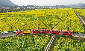 CHINA-GUIZHOU-COLE FLOWERS (CN)