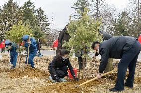 Tree planting event in N. Korea