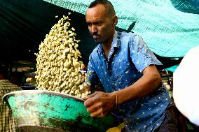 SUDAN-KHARTOUM-MARKET-SEASONINGS AND SPICES