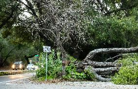 U.S.-SAN FRANCISCO-STORM-AFTERMATH