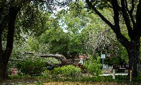U.S.-SAN FRANCISCO-STORM-AFTERMATH