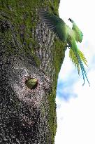 BELGIUM-BRUSSELS-ENVIRONMENT