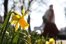 BELGIUM-BRUSSELS-ENVIRONMENT