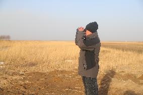 CHINA-LIAONING-HUANZIDONG WETLAND-MIGRANT BIRDS(CN)