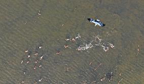 CHINA-LIAONING-HUANZIDONG WETLAND-MIGRANT BIRDS(CN)