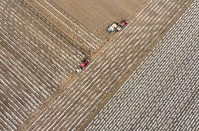 CHINA-HEBEI-FARMING (CN)