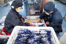 CHINA-HEILONGJIANG-GREATER KHINGAN RANGE-COLD WEATHER-INDUSTRY (CN)