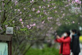 CHINA-ZHEJIANG-HANGZHOU-FLOWER FESTIVAL-CELEBRATION (CN)