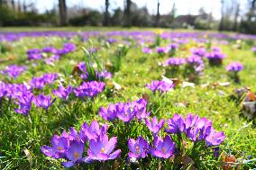 GERMANY-BERLIN-SPRING