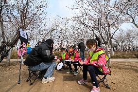 CHINA-TIANJIN-PEACH BLOSSOM (CN)