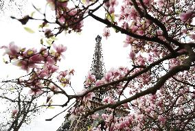 FRANCE-PARIS-SPRING