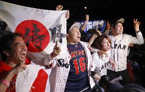 World Baseball Classic