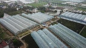 CHINA-HUNAN-XIANGTAN-MODERN AGRICULTURE (CN)