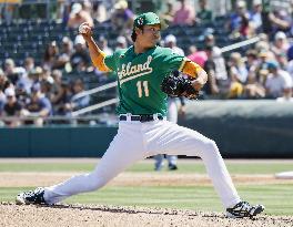 Baseball: MLB spring training