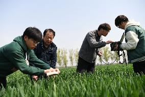 (EyesonSci)CHINA-ANHUI-AGRICULTURE-STUDENTS-PRACTICE (CN)