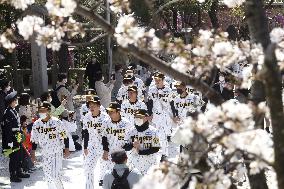 Baseball: Hanshin players make spring shrine visit