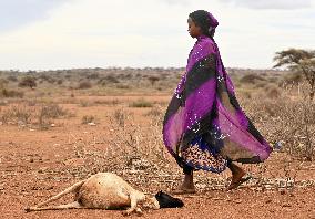 Drought in Ethiopia