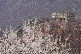 CHINA-BEIJING-GREAT WALL-VIEW (CN)