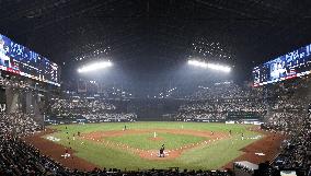Baseball: Fighters' new ballpark in Hokkaido
