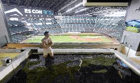 Baseball: Fighters' new ballpark in Hokkaido