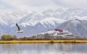 CHINA-TIBET-LHASA-LHALU WETLAND-BIRDS (CN)