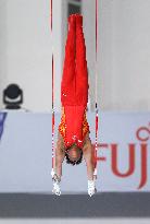 (SP)TÜRKIYE-ANTALYA-ARTISTIC GYMNASTICS JUNIOR-INDIVIDUAL FINALS