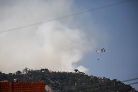 SOUTH KOREA-SEOUL-FOREST FIRE