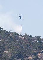 SOUTH KOREA-SEOUL-FOREST FIRE