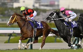 Horse racing: Jack d'Or wins Osaka Hai