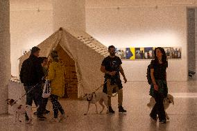 GREECE-ATHENS-MUSEUM-WORLD STRAY ANIMALS DAY