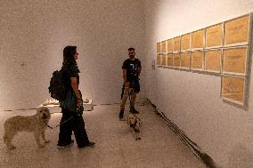 GREECE-ATHENS-MUSEUM-WORLD STRAY ANIMALS DAY
