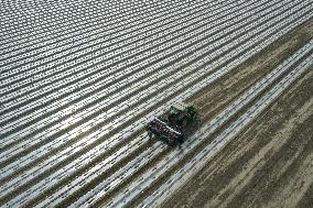 CHINA-XINJIANG-COTTON-SPRING SOWING (CN)