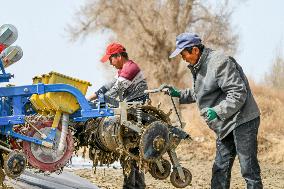 CHINA-XINJIANG-COTTON-SPRING SOWING (CN)